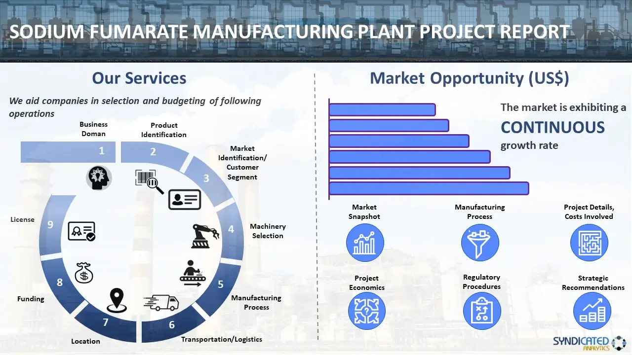 Sodium Fumarate Manufacturing Plant Project Report