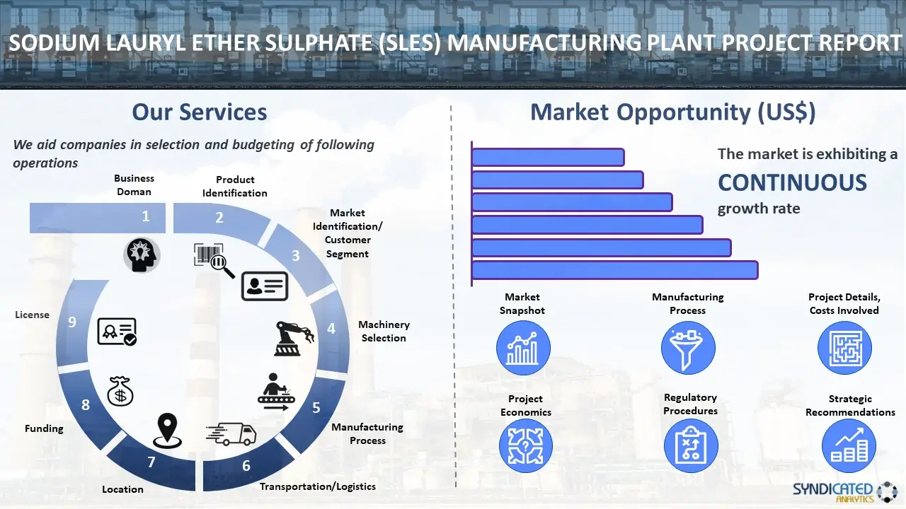 Sodium Lauryl Ether Sulphate (SLES) Manufacturing Plant Project Report